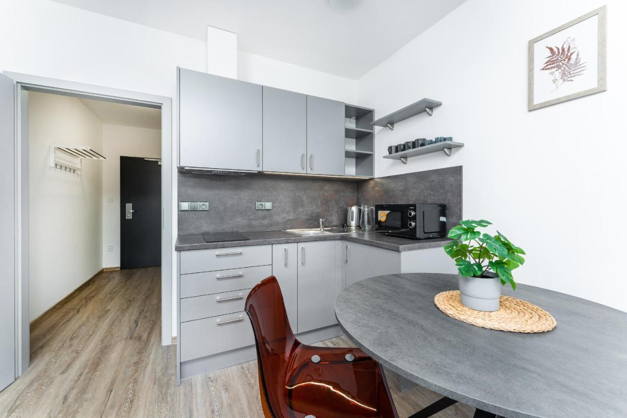 Apartman V Podebradech Poděbrady Exterior foto